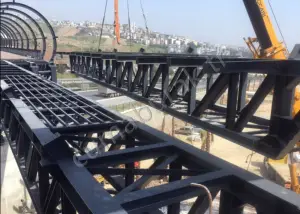 Köprü Ve Pazar Yerleri İnşaatları